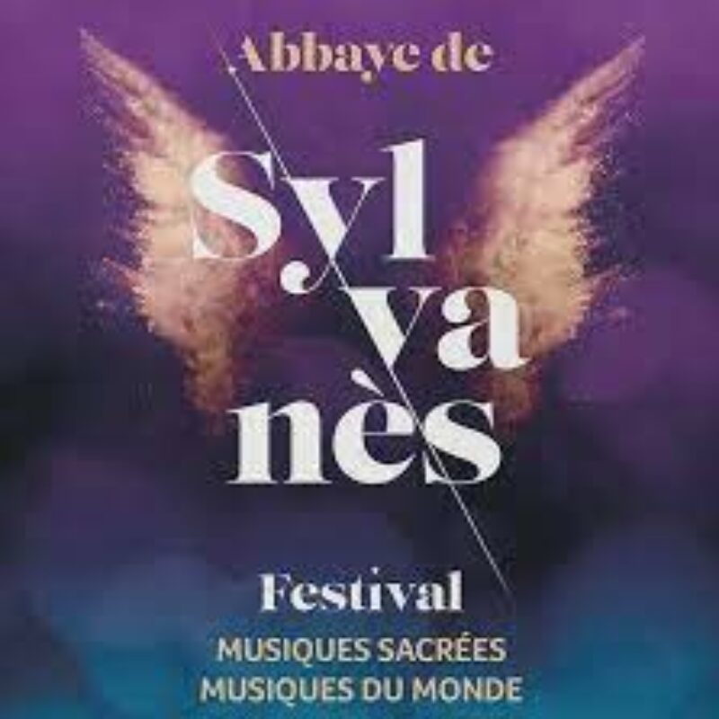 45e festival des musiques sacrées et musiques du monde #7