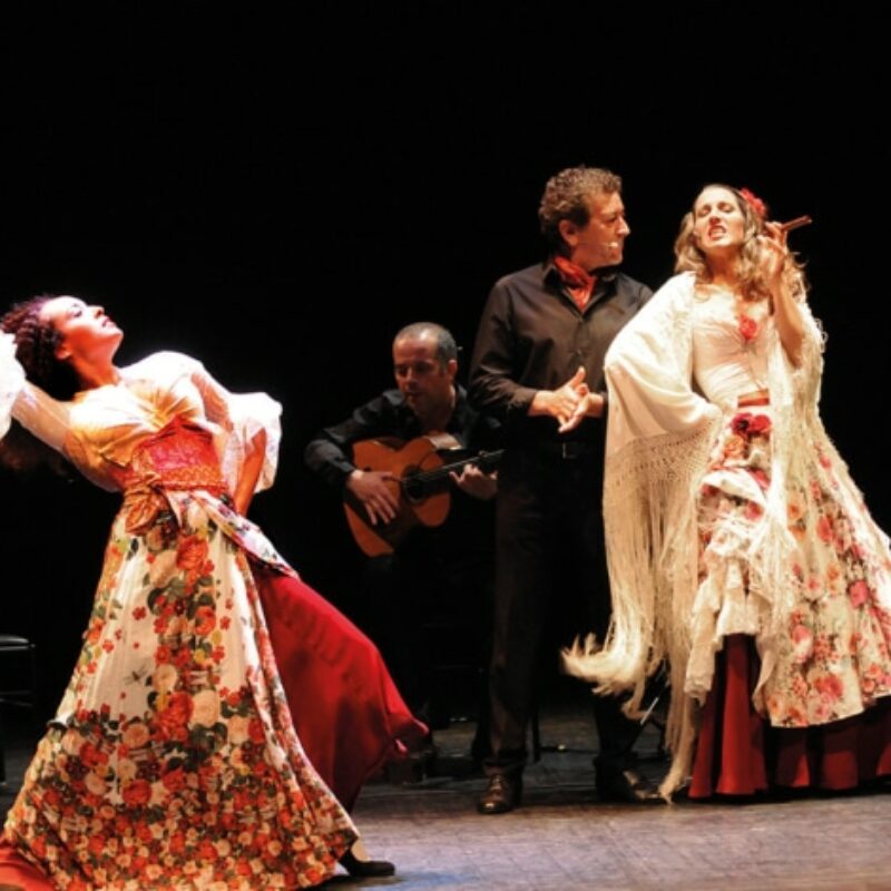 Carmen Flamenco