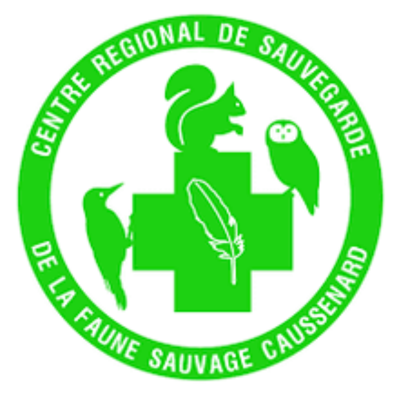 Et si ça allait mieux demain ?