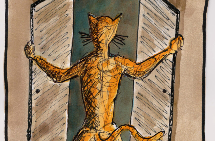 Dans les placards de Félice #8