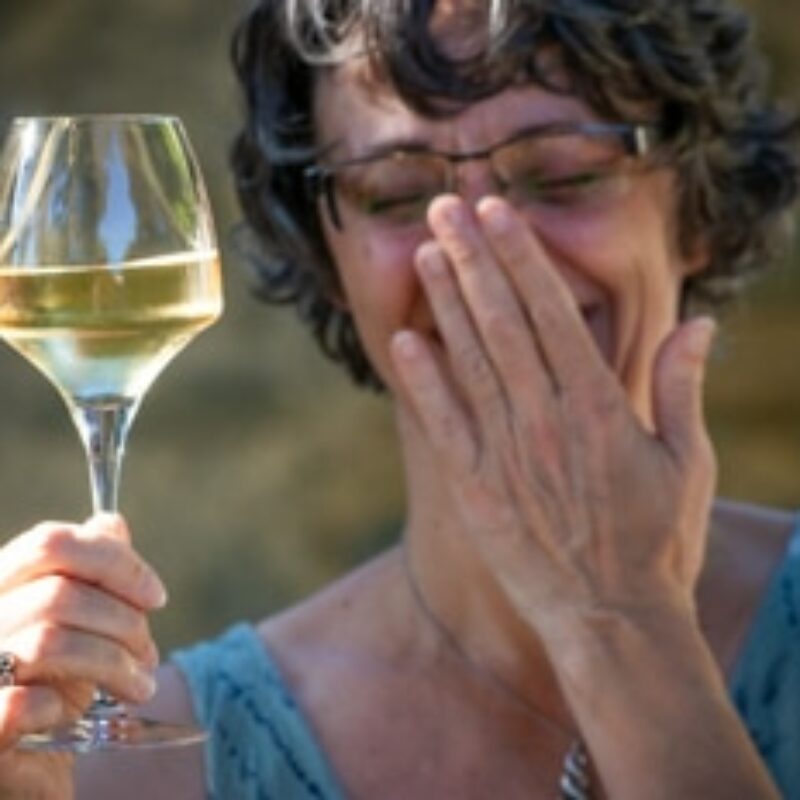 Vignes & papilles #3    Champagne !