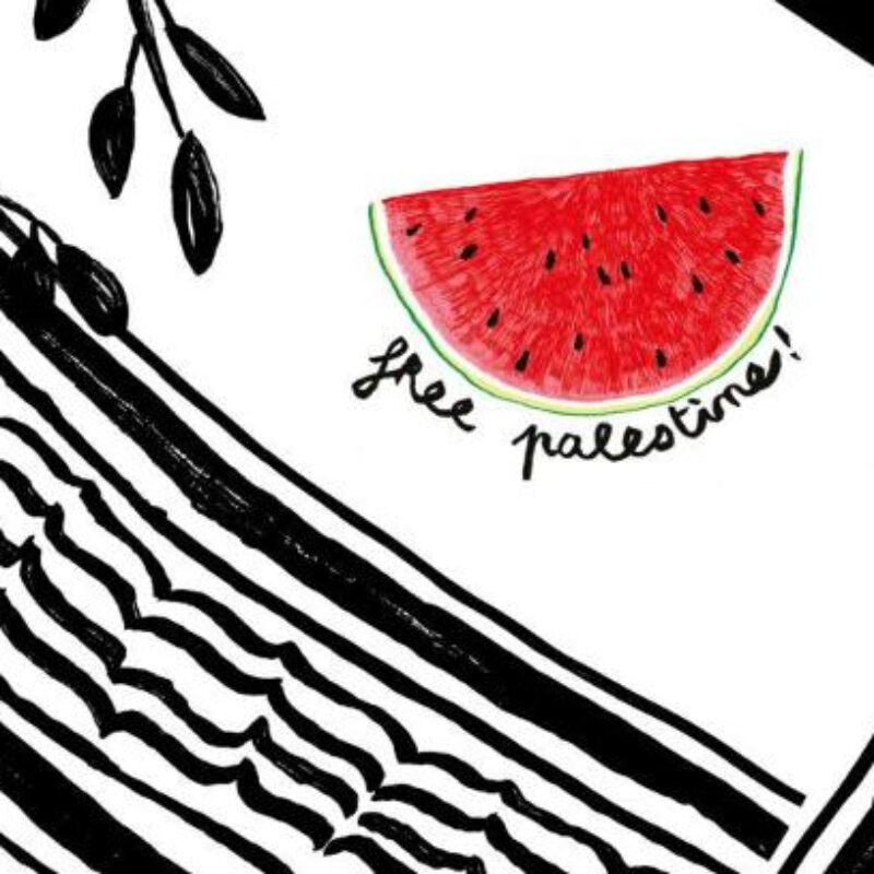 Paix en Palestine (3/5), reportage de Radio St Affrique . Manifestation à Lausanne, Suisse, du 31 octobre 2024