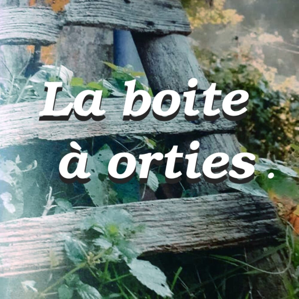 La Boite à orties #8