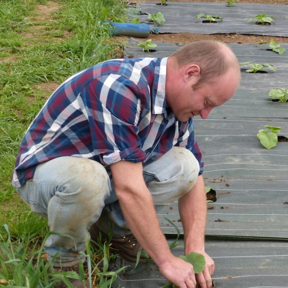 DISSONANCES : YANNICK DELCLAUX, un maraicher bio, heureux !…