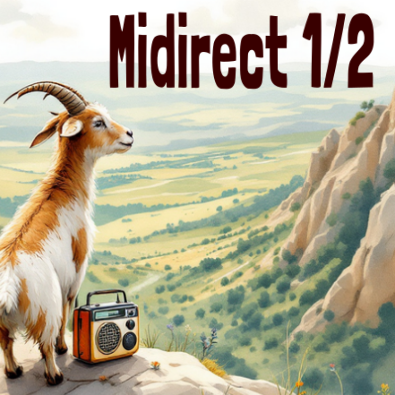 Midirect      20/02/2025