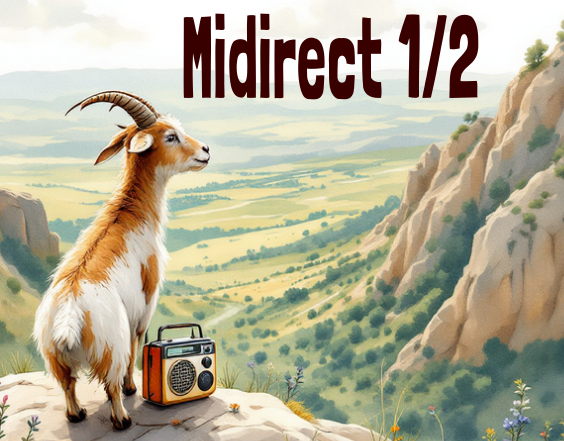 Midirect 11 mars 2025