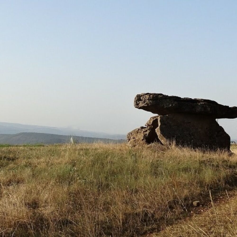 A la découverte de la Société Archéologique du Rougier et des Avant-Causses et de « Mémoire du pays Saint-Affricain »