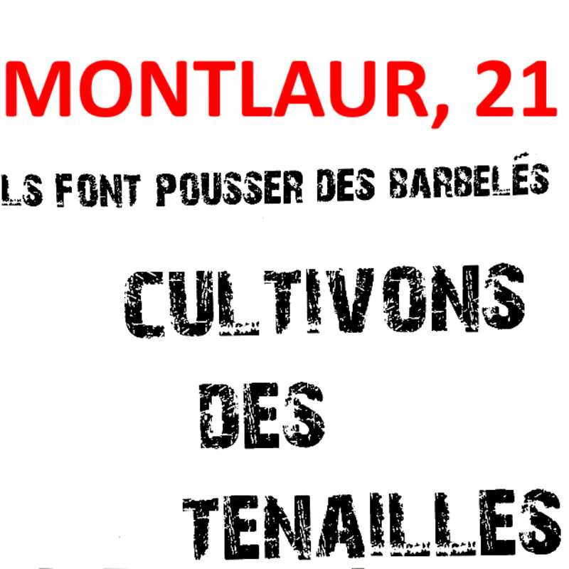 Éphéméride Rebelle # 48 :  » CULTIVONS DES TENAILLES », spectacle-seul en scène qui rend visible les invisibles !