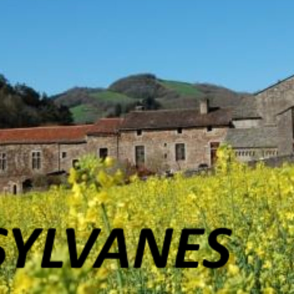 La première pierre du projet d’aménagement et de restructuration de l’Abbaye de Sylvanès est posée.