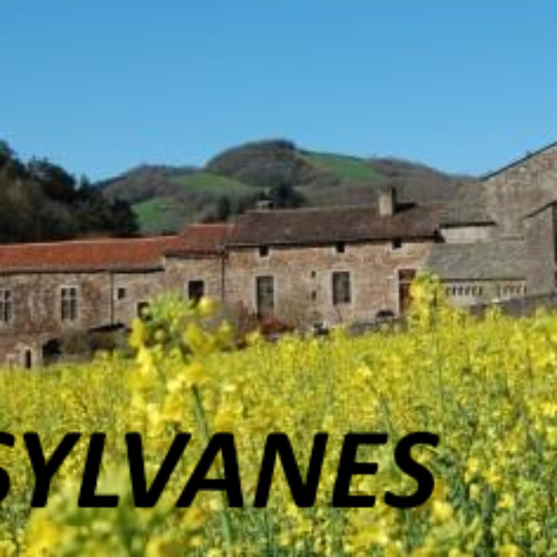 La première pierre du projet d’aménagement et de restructuration de l’Abbaye de Sylvanès est posée.