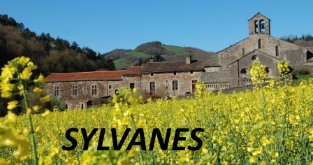 La première pierre du projet d’aménagement et de restructuration de l’Abbaye de Sylvanès est posée.
