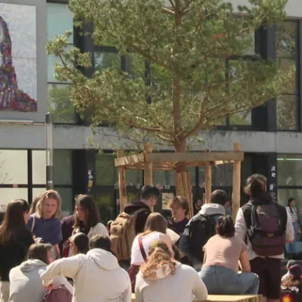 « FAIM DE JUSTICE POUR LA PALESTINE  » – 9 ième jour de grève de la faim; BORDEAUX (partie 2)