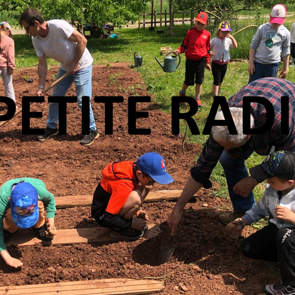 LA PETITE RADIO # 54- Le printemps est là !