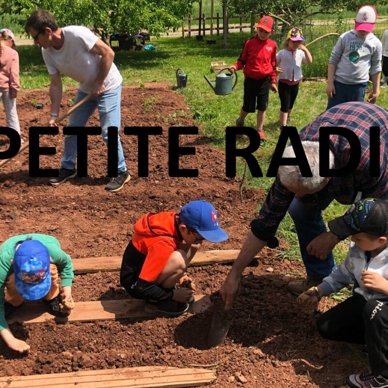 LA PETITE RADIO # 54- Le printemps est là !