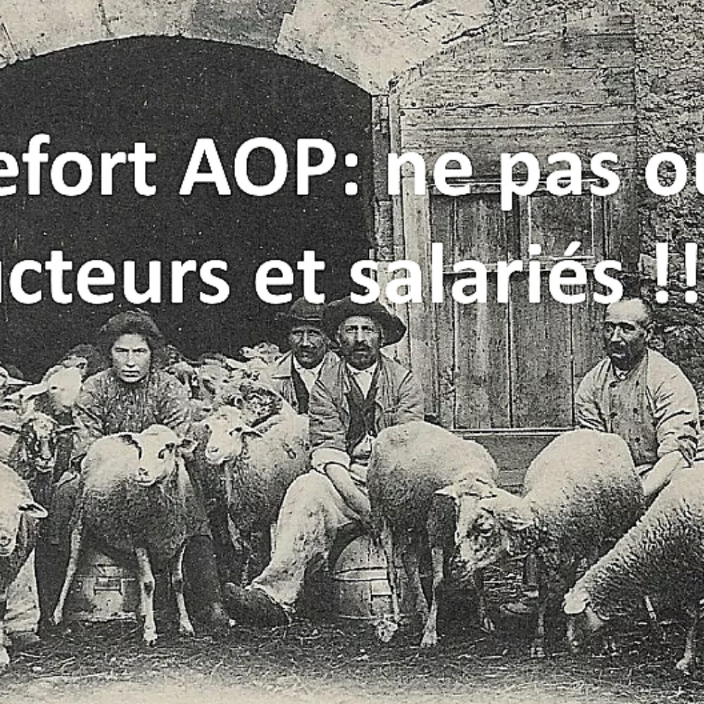 Roquefort…..Une rando citoyenne pour rappeler une vérité….par PIERRE TAURIAC, paysan