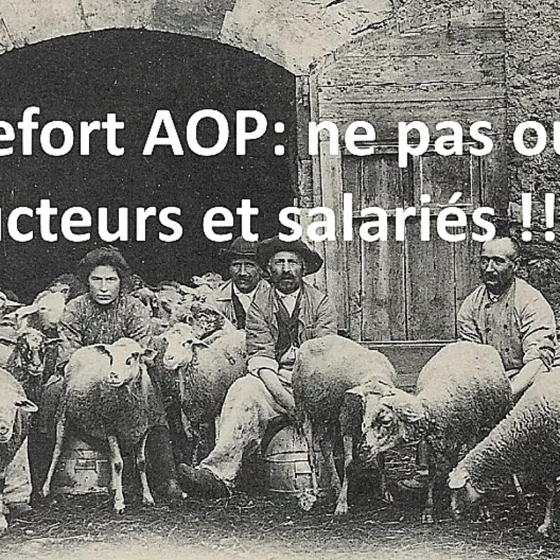 Roquefort…..Une rando citoyenne pour rappeler une vérité….par PIERRE TAURIAC, paysan