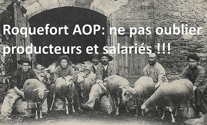 Roquefort…..Une rando citoyenne pour rappeler une vérité….par PIERRE TAURIAC, paysan