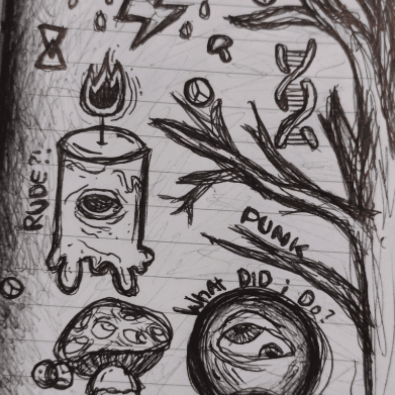 LE JOURNAL DE MAI 2002, AU PAYS DES EXQUIS MOTS,  BY TOINE