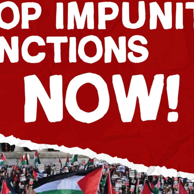 STOP IMPUNITY#2 – Bruxelles- interview de Mikela, fleuriste et Alexis avocat, membre de la Global Sumud Flotilla.