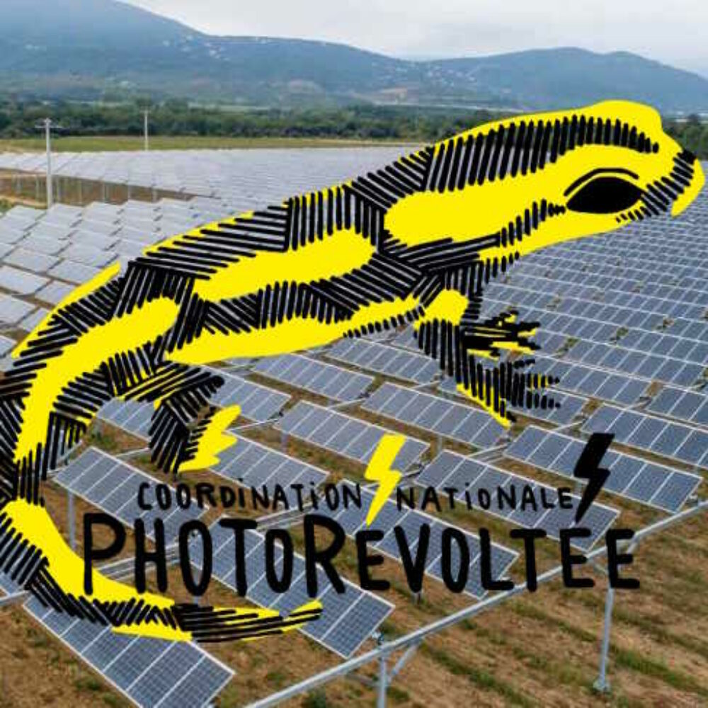 DISSONANCES : L&rsquo;arnaque de l&rsquo;agrivoltaïsme, avec Loïc Santiago, de la Coordination Nationale PhotoRévoltée