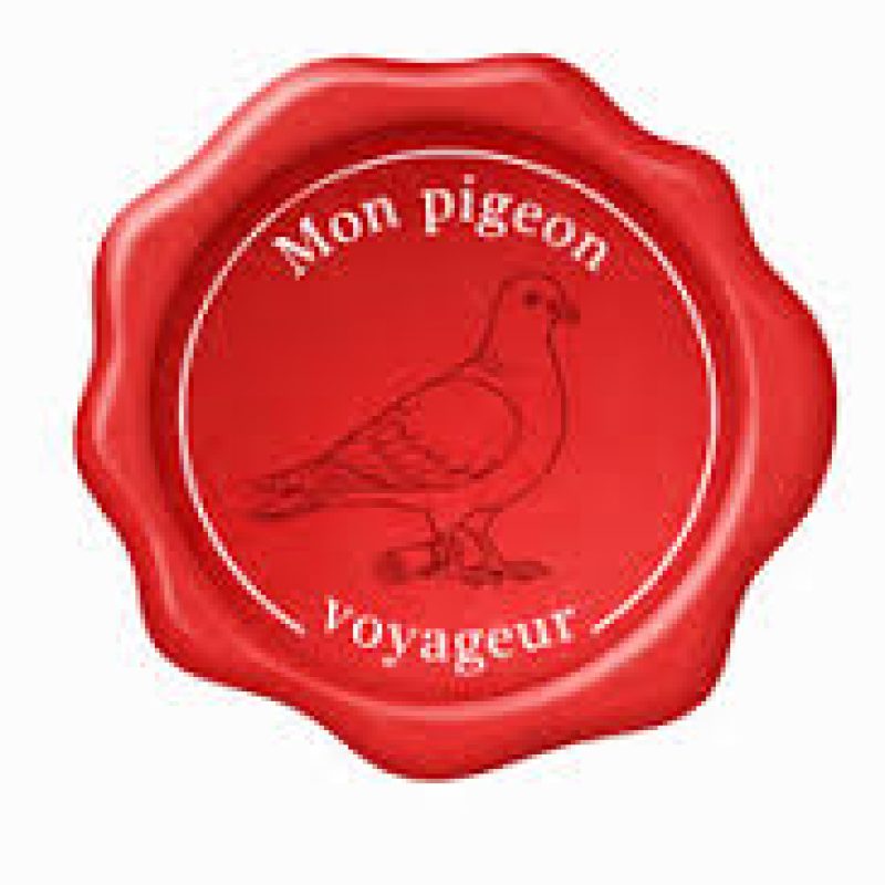 Mon pigeon voyageur